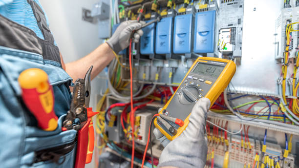 Best Electric Panel Repair  in Sibley, IA