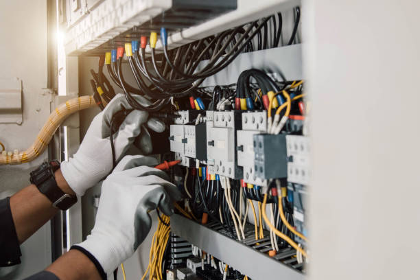 Best Electric Panel Repair  in Sibley, IA